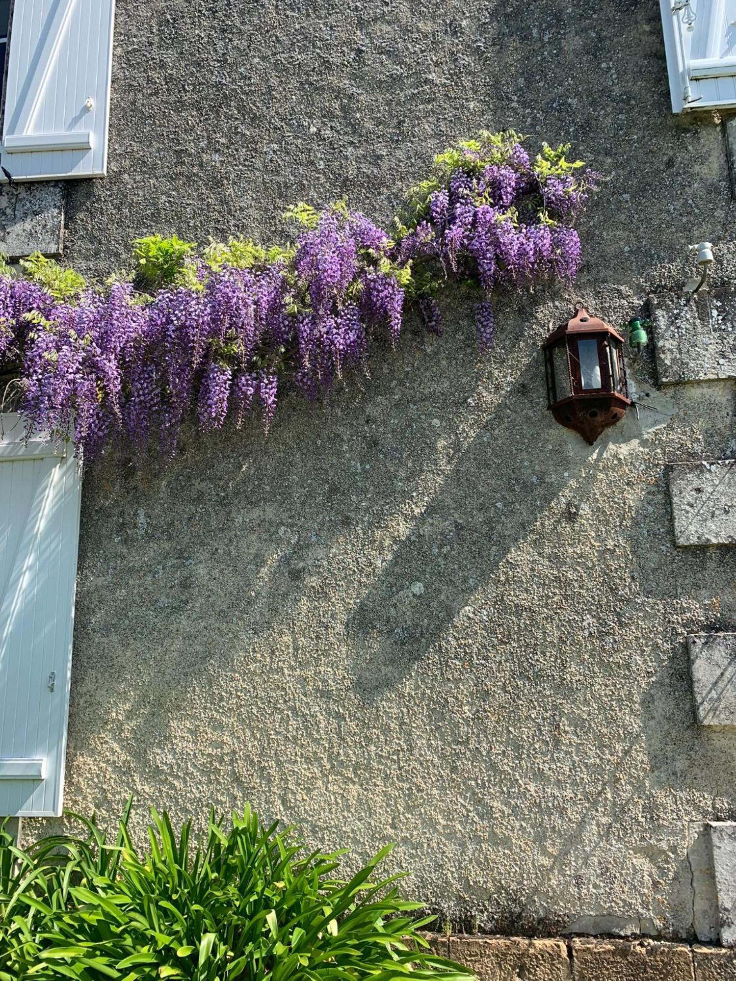 No5 Chambre D'Hotes Courcome Exteriör bild